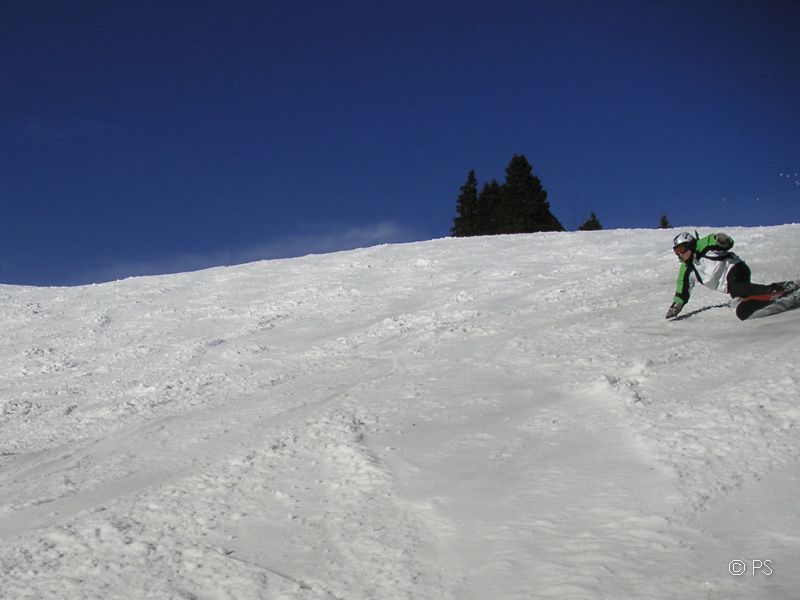 PICT0697_8x6