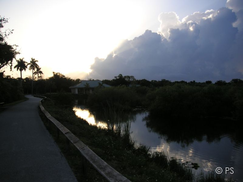 PICT0932