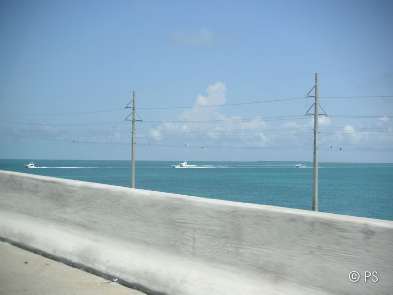 PICT0958