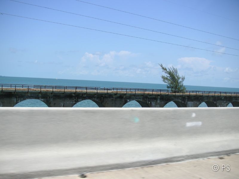 PICT0966