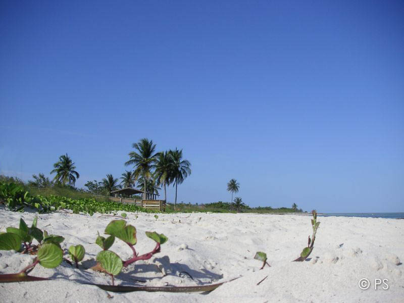 PICT0974