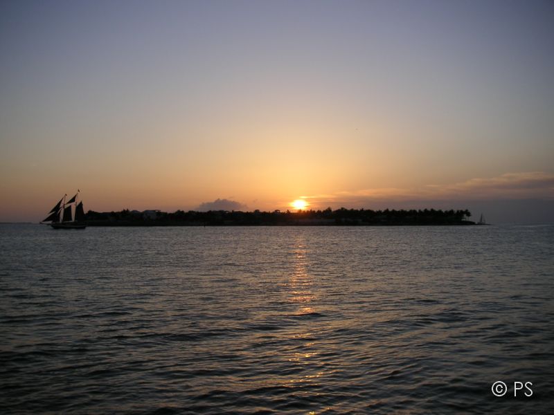 PICT0984