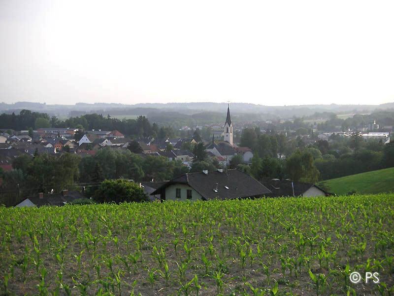 Panorama