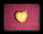 Klick mich und ich werde gro�