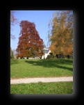 Klick mich und ich werde gro�
