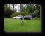 Klick mich und ich werde gro�