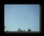Klick mich und ich werde gro�