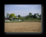 Klick mich und ich werde gro�