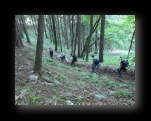 Klick mich und ich werde gro�